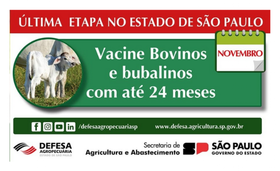 Estado de São Paulo lança a última campanha de vacinação contra a febre aftosa 