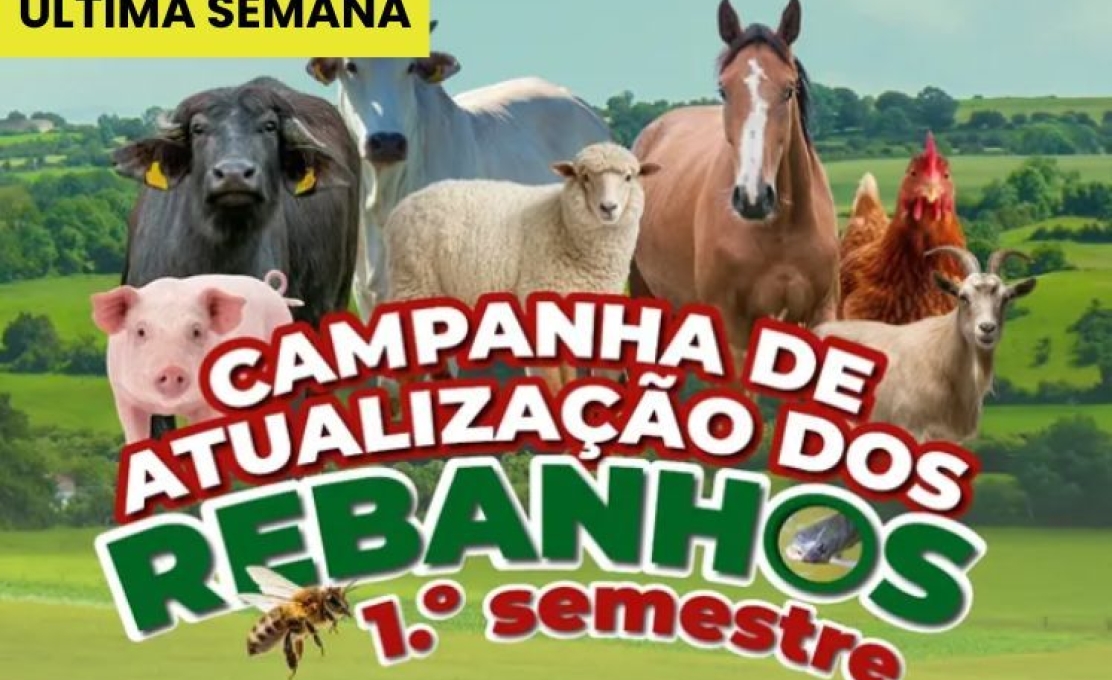 Campanha de atualização dos rebanhos