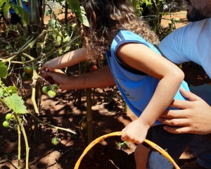 img-20221121-wa0111.jpg