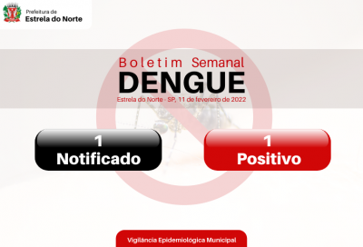 Dengue: boletim atualizado