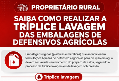 Saiba como realizar a tríplice lavagem