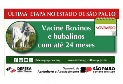 Estado de São Paulo lança a última campanha de vacinação contra a febre aftosa 
