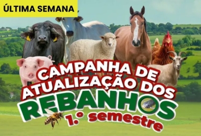 Campanha de atualização dos rebanho